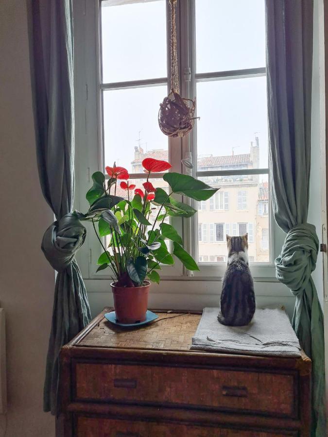 Jolie Chambre Dans Appartement Cosy En Plein Centre Marseille Exteriér fotografie